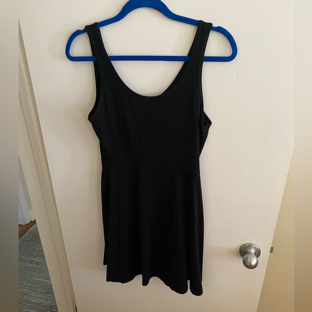 Express Skater Dress